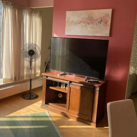 Kooli 公寓 派尔努