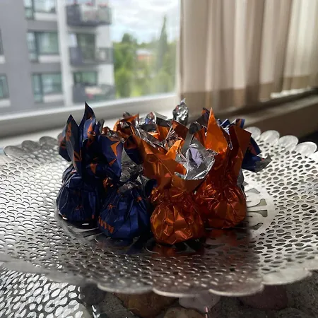 公寓 Kooli 派尔努